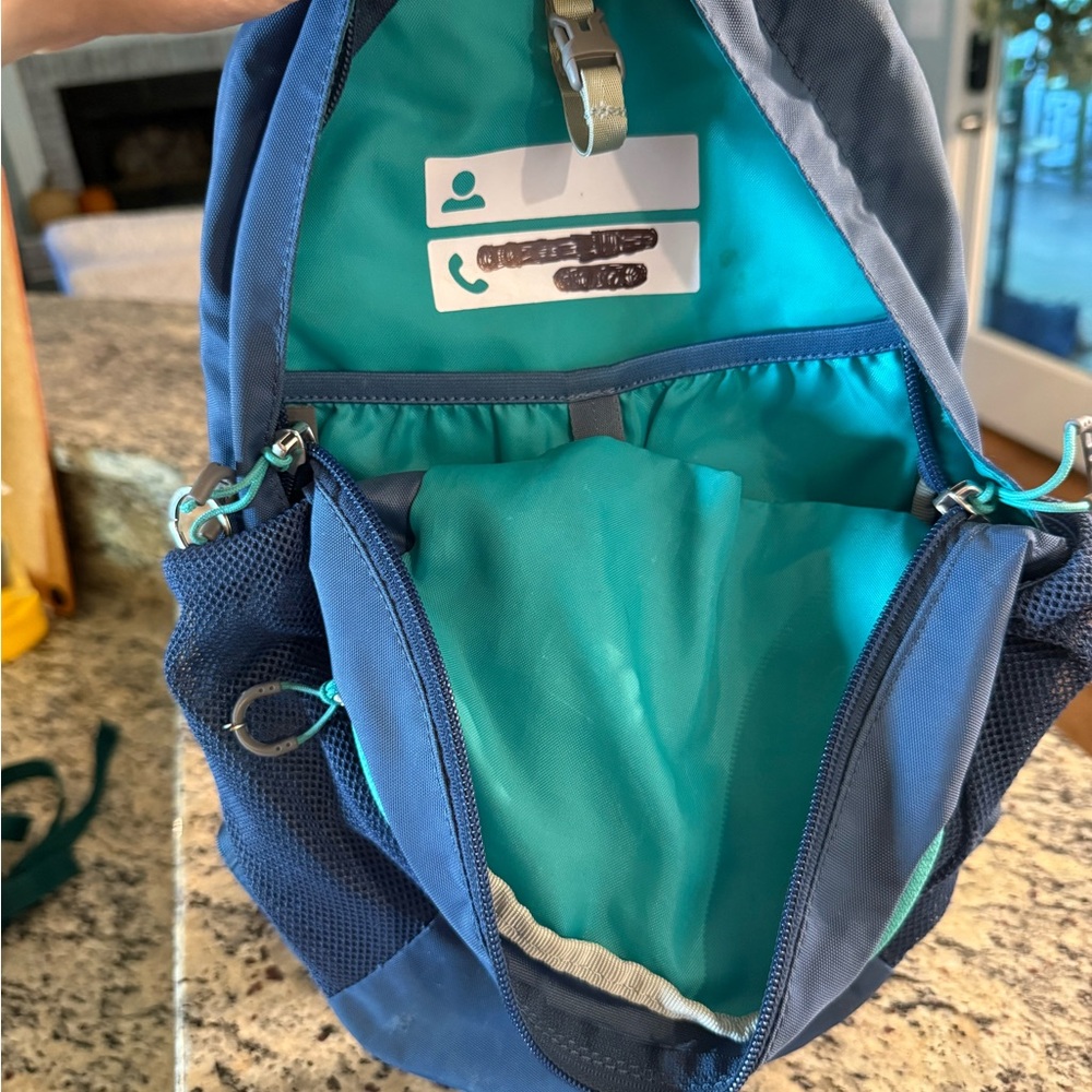 Osprey Kid Daylite Navy and Teal Backpack - Picture 4 of 5